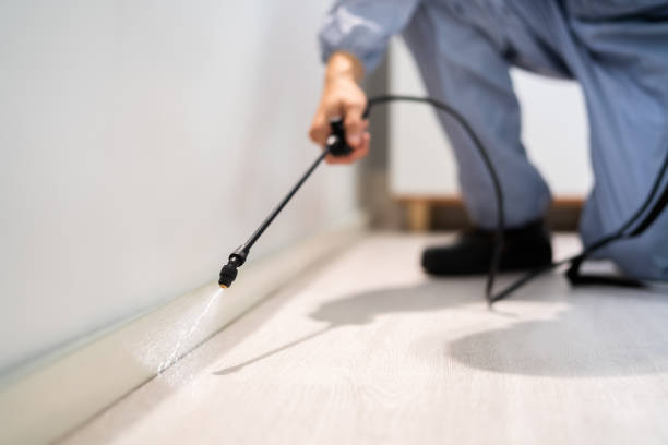 Professional exterminator conducting IPM assessment in Fairmont