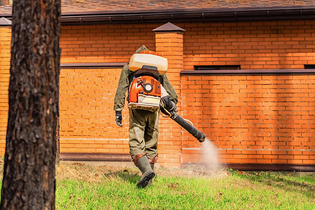Top rated local Mosquito Control specialists in Fairmont, IL